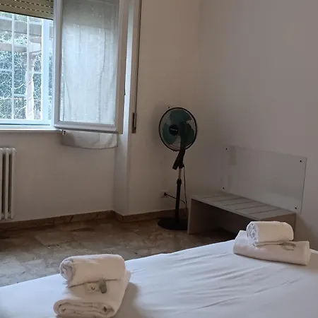 Vatican Treasure Garden