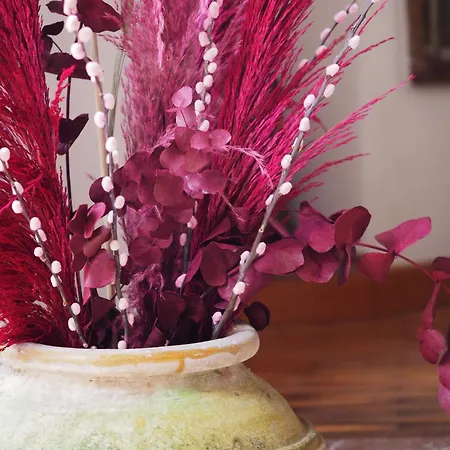 Lägenhet Vatican Treasure Garden Rom